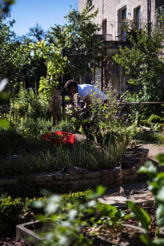 jardin aromatique Aux Terrasses